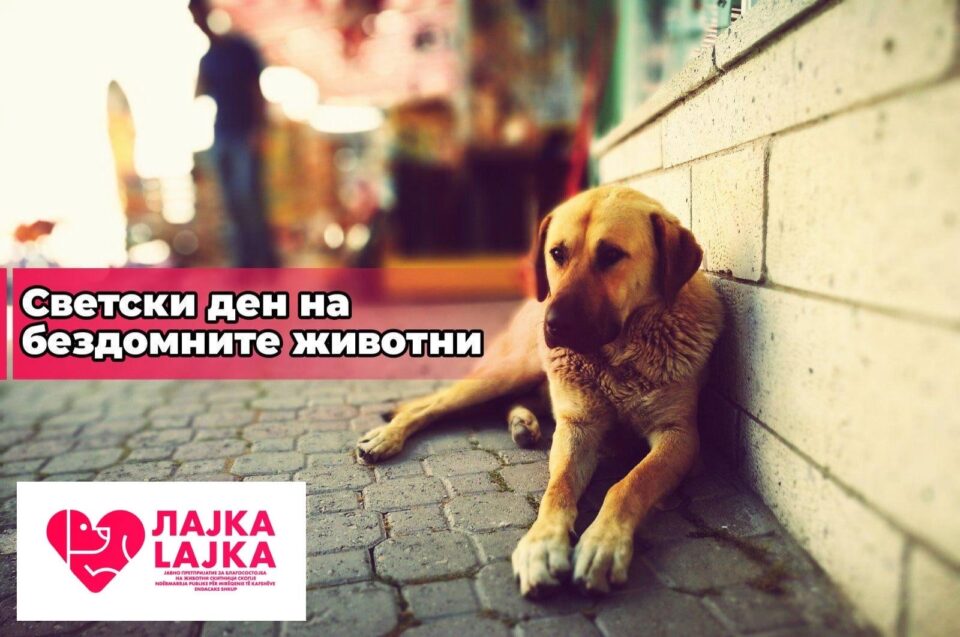 Viber Image 2024 04 04 09 30 27 030.jpg