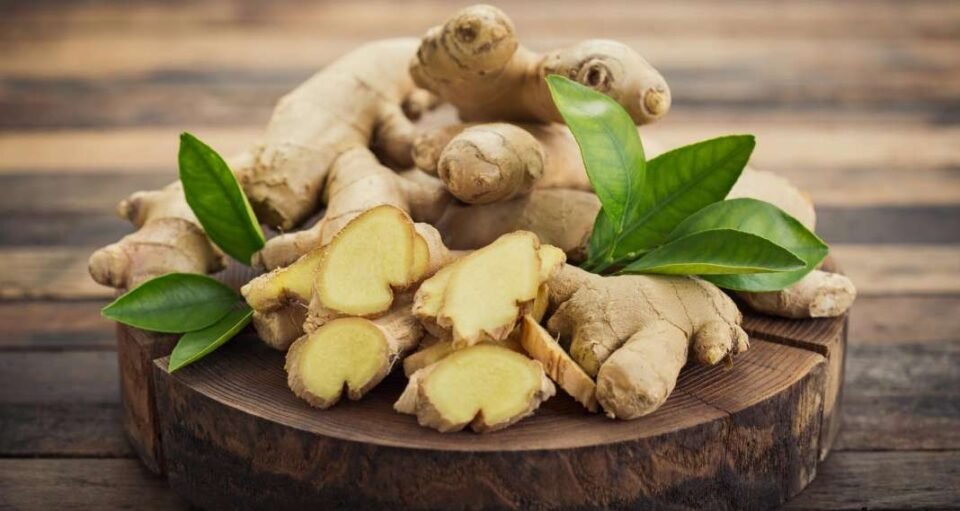 Blog Featured Ginger Benefits 20171220 1630 2.jpg