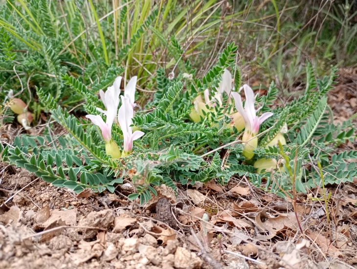 20260413184821 big 730x400 68.webp.webp